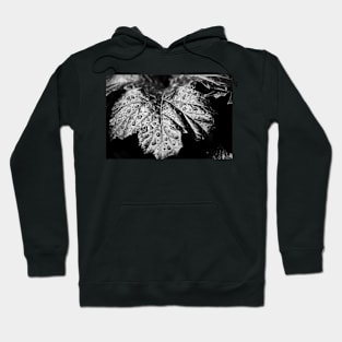 Raindrops on Leaf Hoodie